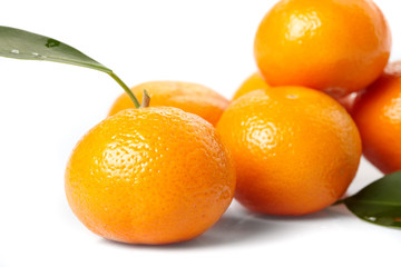 fresh tangerines on the white background