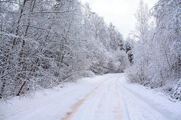 Obraz premium winter road