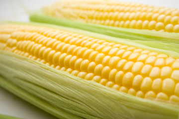 Few corn isolated on white