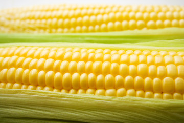 Few corn isolated on white