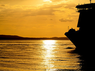 OLYMPUS DIGITAL CAMERA © jacekjunior