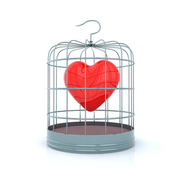 the heart in the birdcage