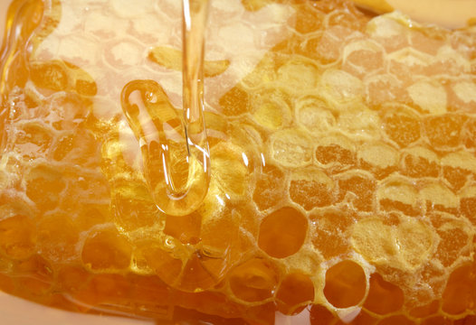honey, sweat honey