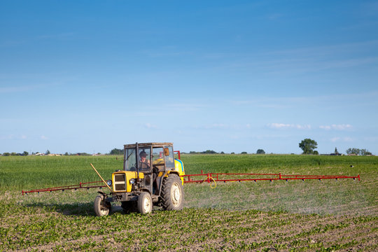Tractor fertilizing beetroot field