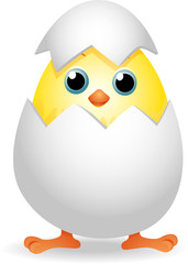 chick in egg
