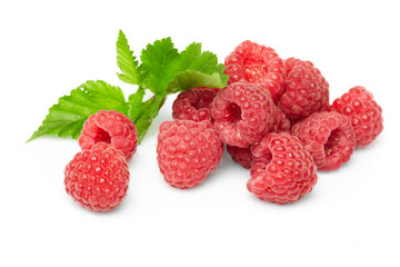 berries on white background