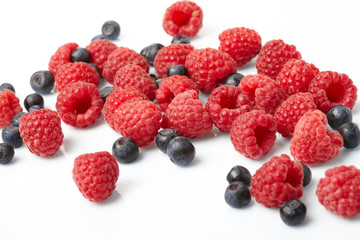 berries on white background
