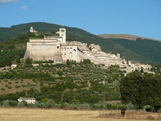 Assisi