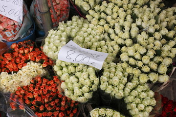mercato fiori