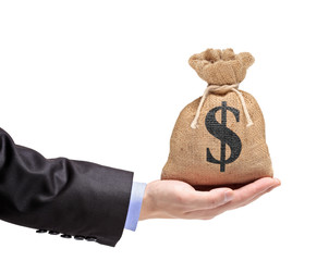 A hand holding a money bag isolated on white