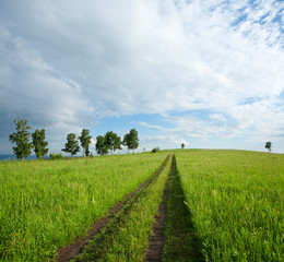beautiful summer landscape and  sky