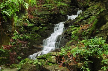 Cascade