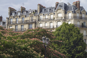 Fototapeta na wymiar Fassade eines traditionellen Wohnhauses in Paris, Frankreich