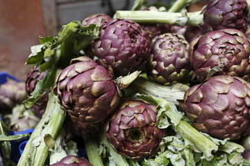 Obraz premium carciofi