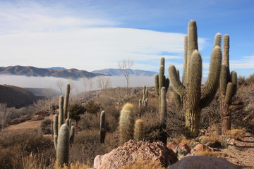 Nubes en suspensi&oacute;n en Hornaditas