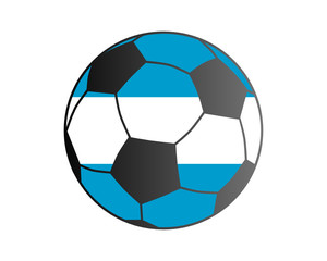 Fototapeta premium Fahne von Argentinien und Fußball