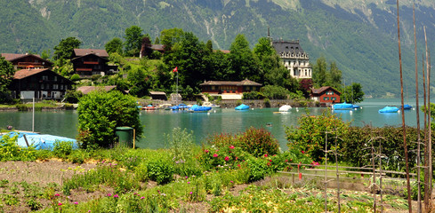 Fototapeta na wymiar suisse lake