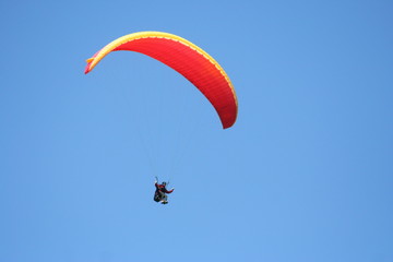 Paraglider