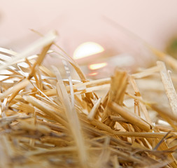 Straw in the field