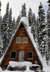 cabin in the snow