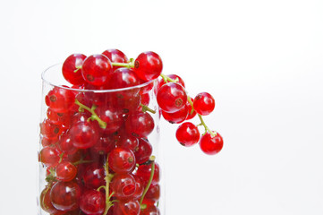 Fresh redcurrant in glass