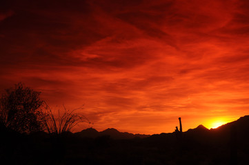 Obraz premium Arizona Sunset