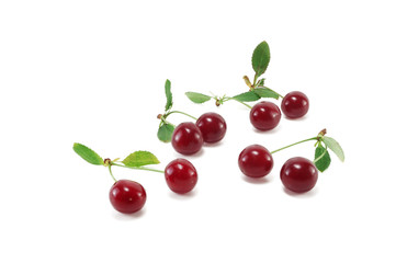 Cherry
