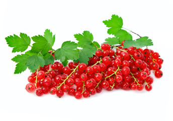 red currant and green leaf isolated on white.