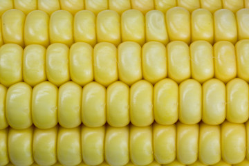 corn