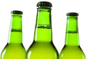 Green bottle of beer