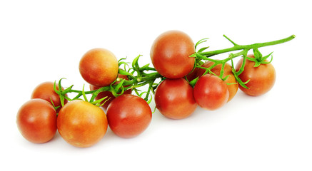 Tomatoes on a white background