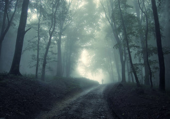 man walking in a green forest with fog