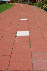 Obraz premium Dutch Bike Path