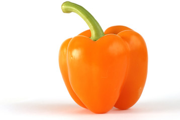 orangefarbene Paprika