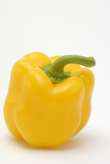 gelbe Paprika