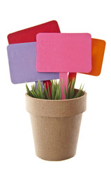 Pot of Grass with Several Blank Colored Signs