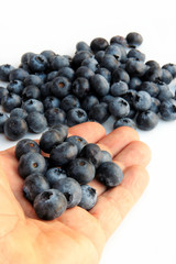 mirtilli giganti americani