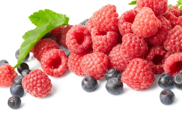 berries on white background