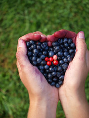 hands full of berries