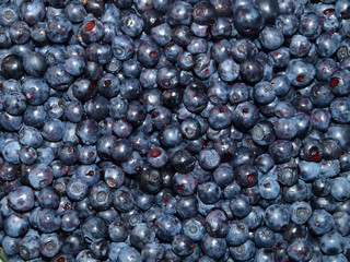 blueberries