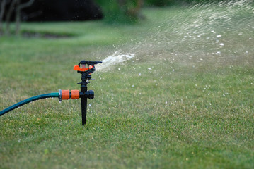 Naklejka premium Watering the garden