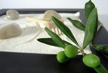 ambiance zen et olivier 5