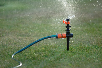Watering the garden