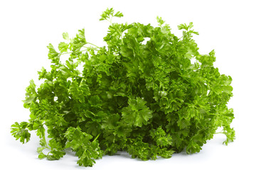 Fresh green parsley