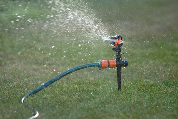 Fototapeta na wymiar Watering the garden