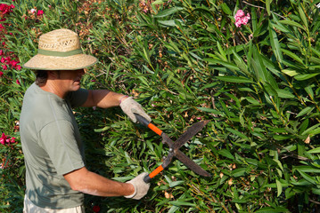 Gaderner pruning