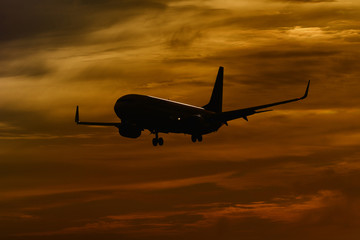 plane flying and sunset