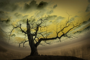Abstract picture with bare tree
