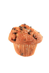 Chocolate chip muffin