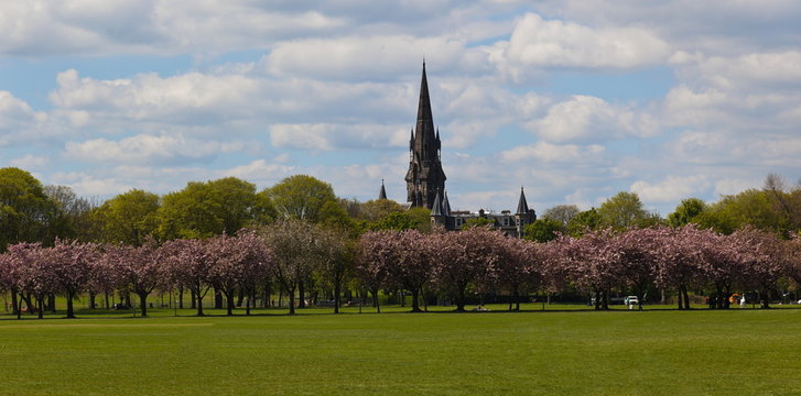 The Meadows Park. Edinburgh. Scotland. UK.